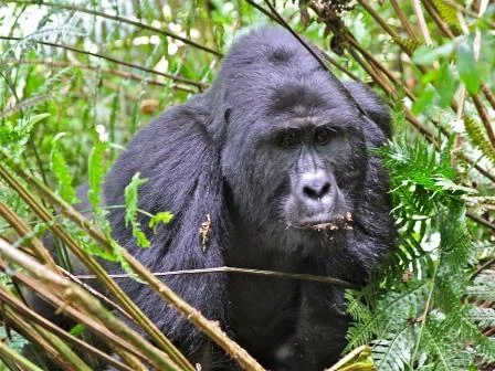http://ujecotours.conflative.hu/index.php?option=com_content&view=article&id=145&Itemid=115