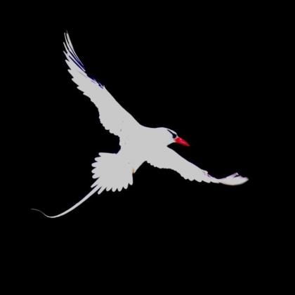 Photography tours - Latin America