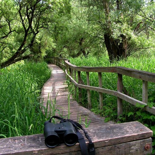 Calendar, Dates & Prices